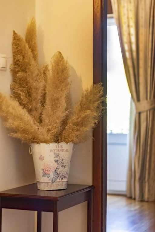 Quintinha De Sabadim - 500 Metros Da Ecovia De Sistelo Βίλα Arcos de Valdevez Εξωτερικό φωτογραφία